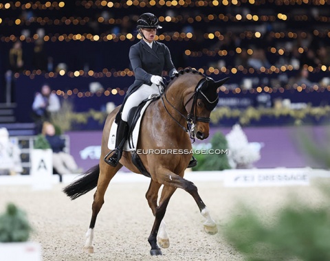 Danish Anna Zibrandtsen on Quel Filou (by Quaterback x Stedinger). Fabulous mover, but fairly unbalanced in the passage. He can close better in the piaffe
