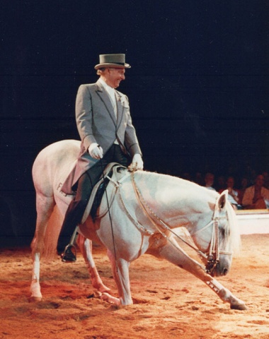 Farewell from the manège in 1984 on Ché. Fredy Knie senior always expressed happiness when showing his horses.