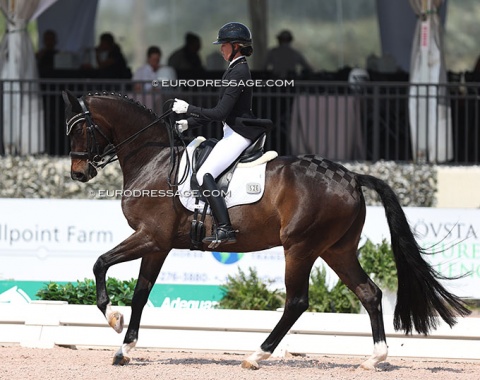 Back in the CDI ring after four years, Loxahatchee based Canadian Alexandra Duncan on Giotto (by Gandhi x Fidertanz)