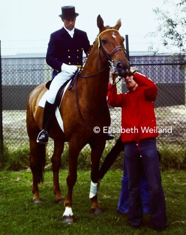 Harry Boldt and his 1976 Olympic silver medalist Woyzeck getting ready for the Grand Prix. The tall Hanoverian (by Wunsch) was one of the favourites for the 1978 World Championships in Goodwood.