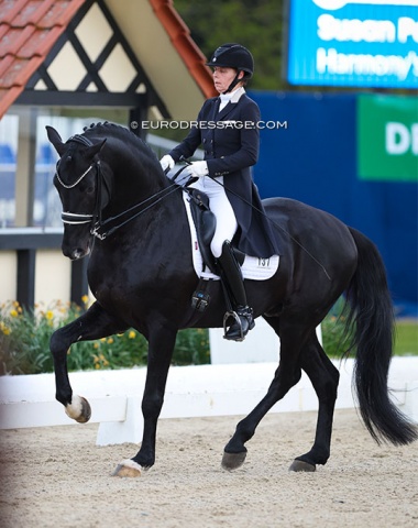 Susan Pape on the PSI Auction price highlight, the American owned V-Plus (by Vivaldi x Furst Romancier). Sire Vivaldi really shows in this black stallion. Great extended walk, but the piaffes were still small