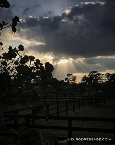 Sunset at Poinciana Farm