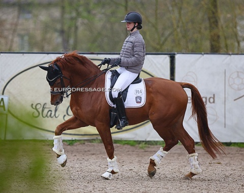 Emma Lienert schooling her new Grand Prix horse, Express (by Vivaldi x Sir Sinclair)