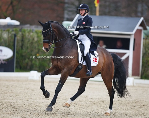 Danish Karoline Rohmann has moved from the U25 category into the senior division aboard her own and Kyle Kuvalanka's Jakas Don Louvre (by Don Romatic x Lauries Crusador xx)