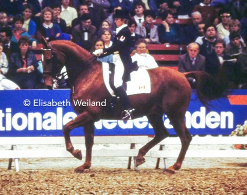One of two overseas riders who travelled to Europe on invitation: German born Eva-Maria Pracht and her Hanoverian Lyogen whom she also rode later that year in the World Championships in Canada which she organized with her husband Hans.