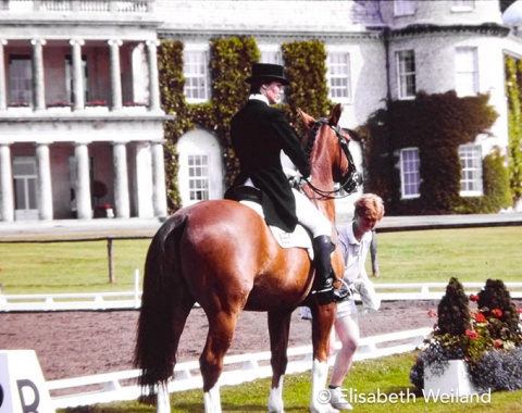 Chris Bartle’s sister Jane Bartle-Wilson and her small Belgian bred gelding Pinoccho getting ready for their start in front of Goodwood House.