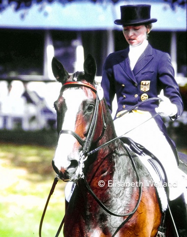 Ampère was a KWPN gelding by the Trakehner J.Amagun who also sired Tineke Bartels 1992 Olympic mount Courage.