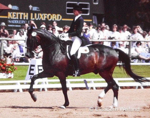 In Goodwood 1987 Ampère was only 9 years of age, but already competing in his 3rd international championships. With his previous rider and trainer Jo Rutten he had been the youngest horse at the 1984 Olympic Games in L.A.