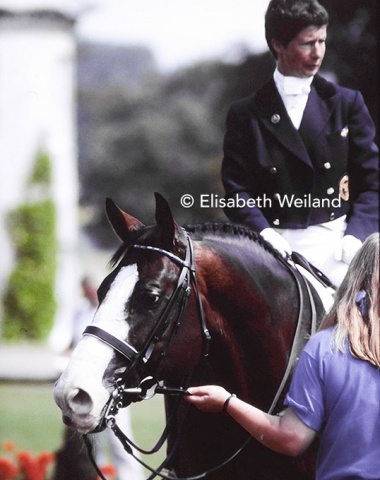 Swedish evergreen Ulla Hakanson on the colored Swedish stallion Cesam (by Ceylon) whom she then also showed at the 1988 Olympics in Seoul.