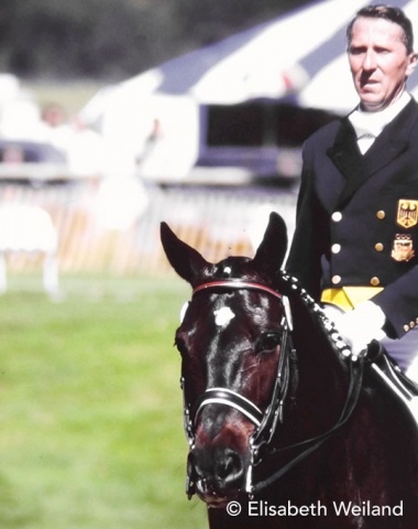 After having become team Olympic champion with Muscadeur 1984 and team World champion with Dukat in 1986, the Hessian winegrower and horse dealer Herbert Krug rode a third horse to golden glory: Hessian bred Floriano who was by the Trakehner Fiothor.