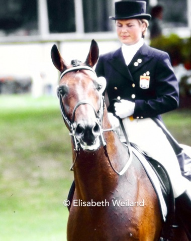 Annemarie Sanders-Keijzer who built her career on the Westfalian Amon, showed the most beautiful KWPN bred Vincent in the small tour