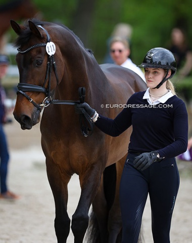 Luca Collin will ride her first CDI in one year time on the newly acquired Under 25 GP horse, Ferrero D (by Tuschinski x Jazz), previously owned by Mary Hanna