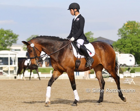Japan’s Grade 3 rider Sho Inaba warming up his 9-year-old KWPN mare Jolly Dolly (by De Niro x Metall)