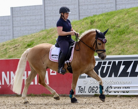 Good schooling is half the prize: Stockholm might not have the size or gaits of some of his rivals, but the sportive Haflinger shone with his classical schooling, here ridden by his rider’s trainer Manuela Rathner.