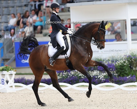 Jill Hollweg-De Ridder on Moosbend's Rockadera (by Rock Forever x Moosbends Ricardos)