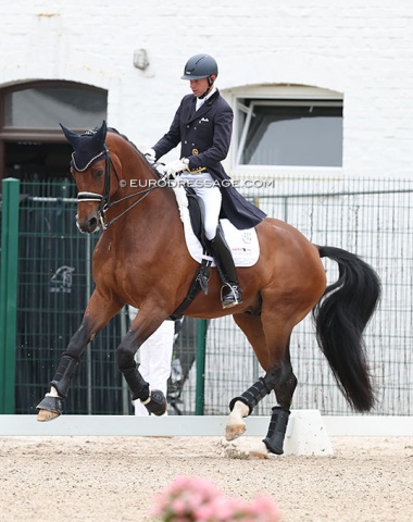 Thomas Wagner warming up Escolux (by Escolar x St Moritz)