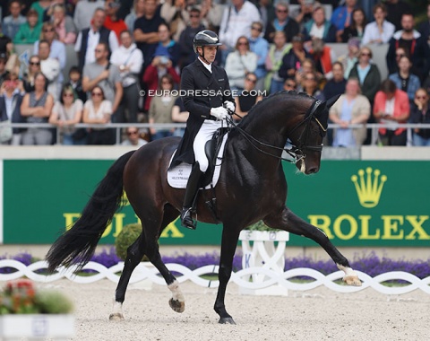 Andreas Helgstrand and Jovian rode to music from Insterstellar to underscore the "out of this world" trot and canter extensions this horse can show. The collected work and in particular the piaffe are problematic although one piaffe at A showed promise. Horse went off the bit in the pirouettes