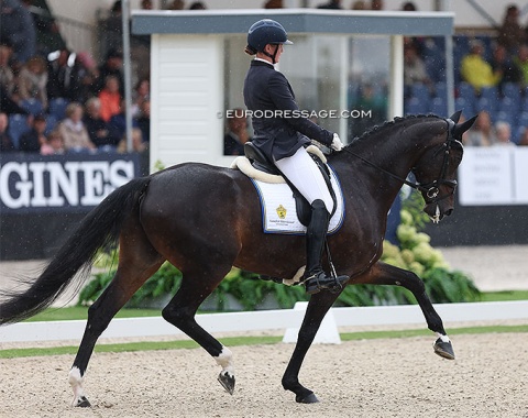 Maria Anita Andersen on her second 5-year old finalist, Swedish mare Vive la Reinne II VH (by Revolution x De Niro)