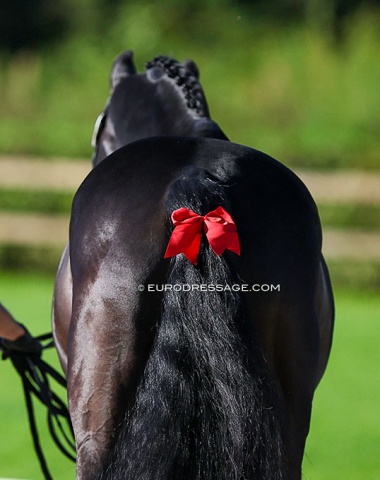 Dante Weltino's red bow