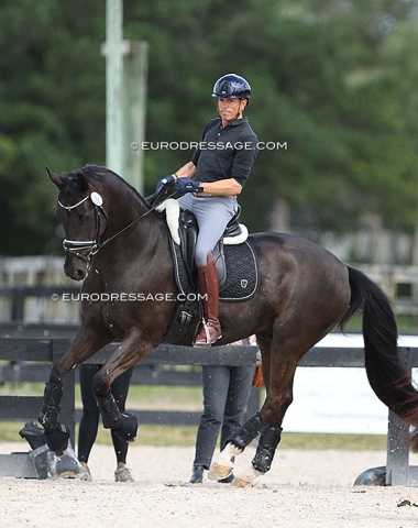 Christoph Koschel getting to know Vicky Lavoie's Feodoro, previously ridden and trained to Grand Prix by Adrienne Lyle