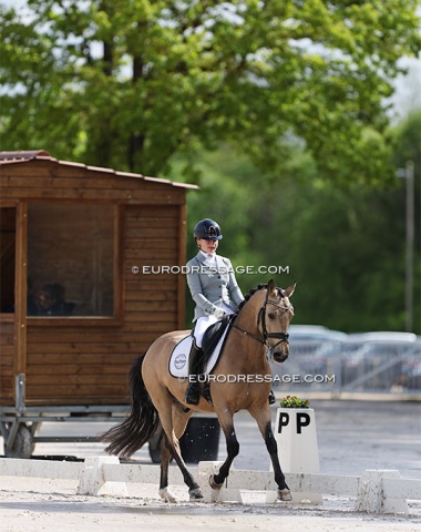 Feline Niessen on her second pony Le Formidable (by Champion de Luxe)