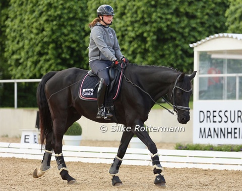 Austria’s experienced Grade I rider Julia Sciancalepore and the 12-year-old Hanoverian Heinrich IV returned to Mannheim to prepare for their second Paralympic appearance in Paris.