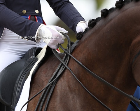 Hands and reins