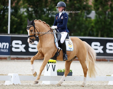 Wilma Holmgren on former breeding stallion Casino Royale K