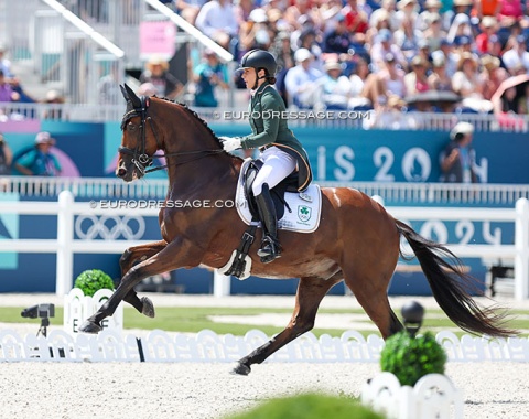 Excellent canter work from Ireland's individual rider Abi Lyle on Giraldo