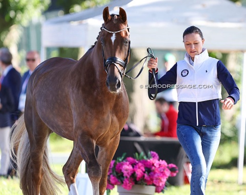 Adrienne Lyle and Helix