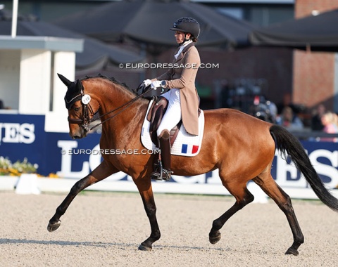 Charlotte Chalvignac Vesin on French Kiss Kerlouaver (by Franklin x Royal Diamond)