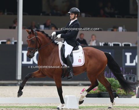 Fernando Esteban Ruiz on the Polish warmblood Bombastic