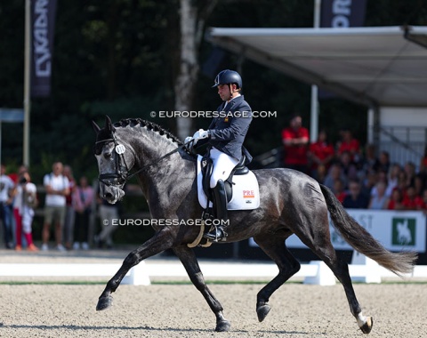 Juan Manuel Galeano Cerezo on the PRE bred Domingo de Centurion, who is by the 2017 and 2018 Ermelo alumnus Poeta de Susaeta