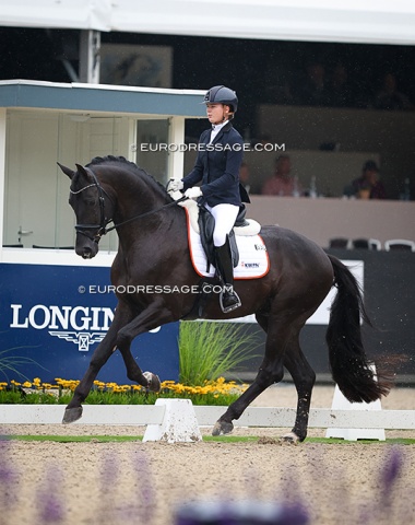 Dutch young rider team member Robin Heiner on the popular breeding stallion One Million