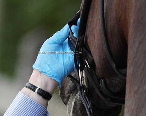 A noseband check according to FEI rules