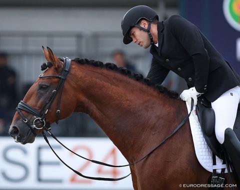 Brazilian Joao Oliva pats the French bred and Portuguese owned Lusitano Mantovani's Orion de la Gesse (by Escorial)