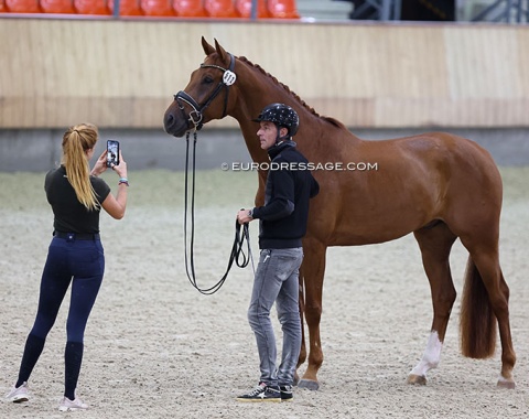 Claudia Costas Nijfhof taking a photo of her trainer Victor Petit with the CDE bred Olivetti (by Joyride x Olivi)