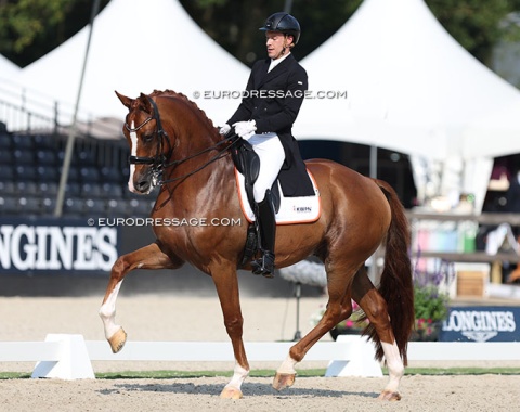 Michael Ruijgrok had one of the most talented horses in the bunch, Mauricio (by Total USA x Florencio), but he didn't want to walk