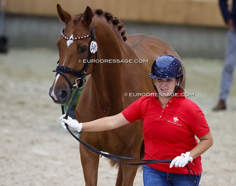 Former Swiss team youth rider Ramona Schmid with Safir von Buchmatt CH (by Secret x Danone)