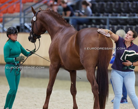 Dorothee Schneider with Vainqueur at the horse inspection for the CDI 3*