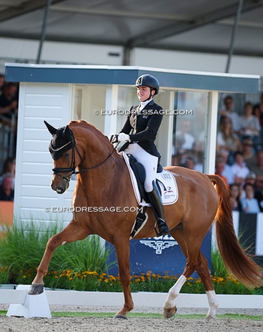 Jennifer Stein on Enrico de Hus