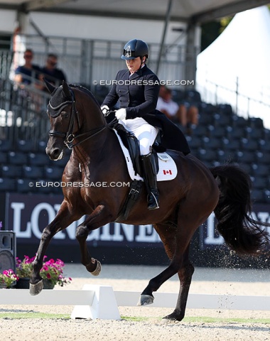 Tanya Strasser back in the CDI ring with a very improved Mr Morrison (by Morricone x Florestan)