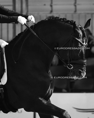 Lifting the reins up without releasing the contact is not "uberstreichen" (FEI Judges Manual: "For two or three Horse lengths the Athlete moves his hands along the crest of the Horse’s neck, giving visibly up the contact.")