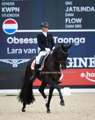 Former Dutch Junior team rider Lara van Nek on her mom Willeke Bos' licensed stallion Obsession Taonga