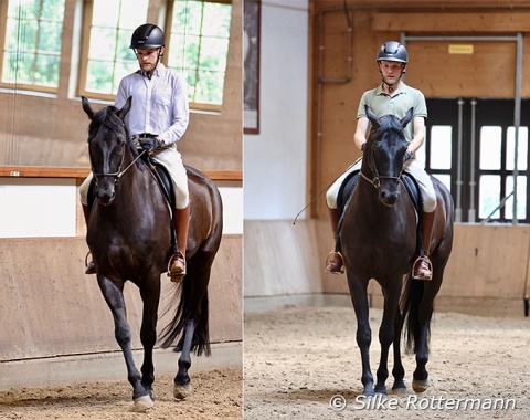 In the walk half-pass the gymnastic effect is even greater than in the more spectacular looking trot half-pass where the gait’s natural impulsion helps with the crossing-over.