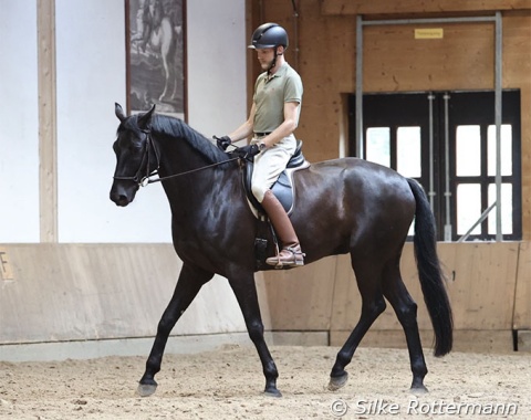 Calmness and positive focus create the beauty  we long for in dressage.
