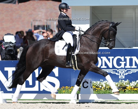 Evelyn Eger aboard Christiane Bergmann and Hof Kasselmann's Global Power (by grey Flanell x Don Frederic): 12th