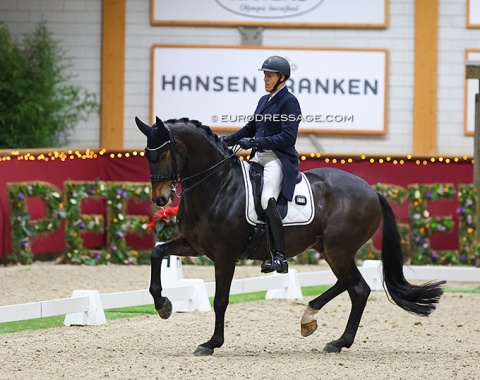Wim Verwimp on the Korean owned Jedai de Massa (by Don Juan de Hus x Galopin de la Font)