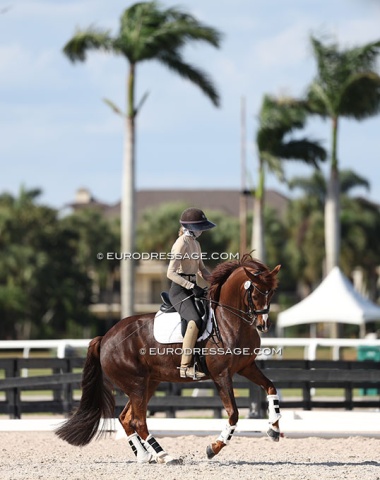 Look who's back: Heather Blitz on DWB mare Krogsgaards Valentina
