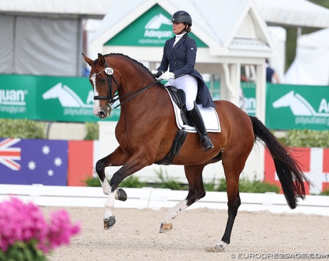 Jane Cleveland on Stokbroens Touch